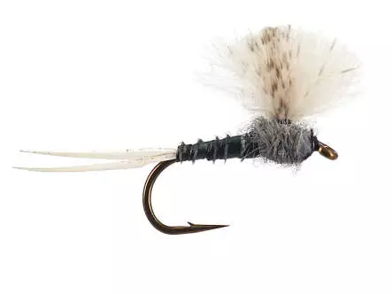 CDC Grey Baetis