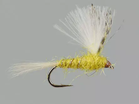 CDC Yellow Dun