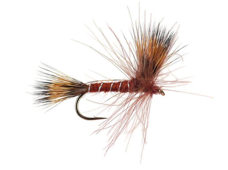 CDC Dry Brown