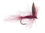 CDC Claret Winged Dry