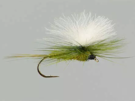 CDC Parachute Olive
