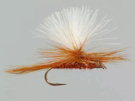CDC Parachute Brown