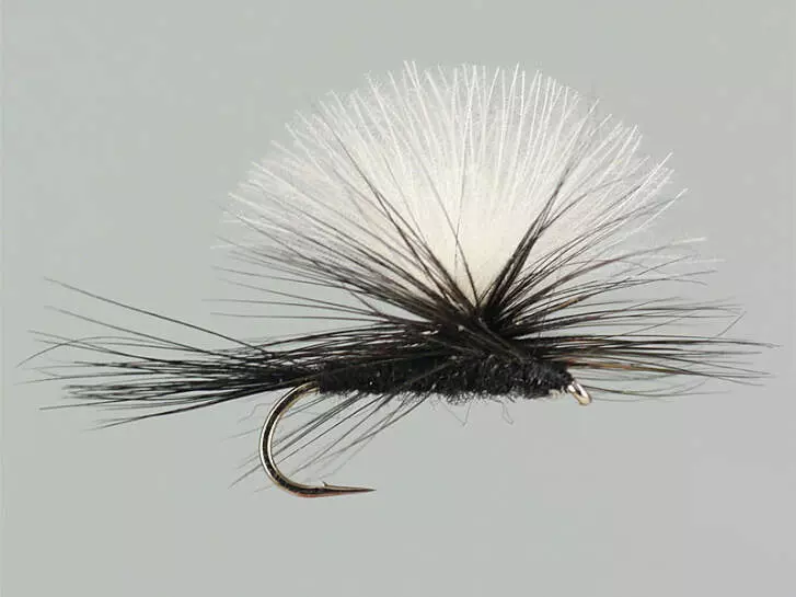 CDC Parachute Black