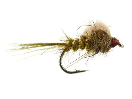 CDC Loop Emerger Olive