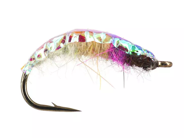 Rainbow Czech Nymph