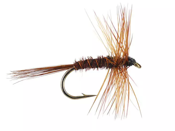 Pheasant Tail