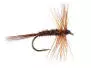Pheasant Tail
