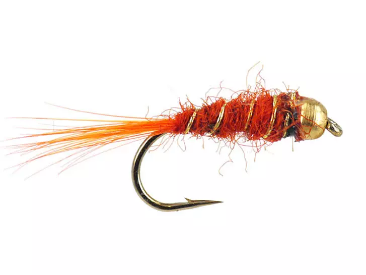 Orange Basic BH Nmyph