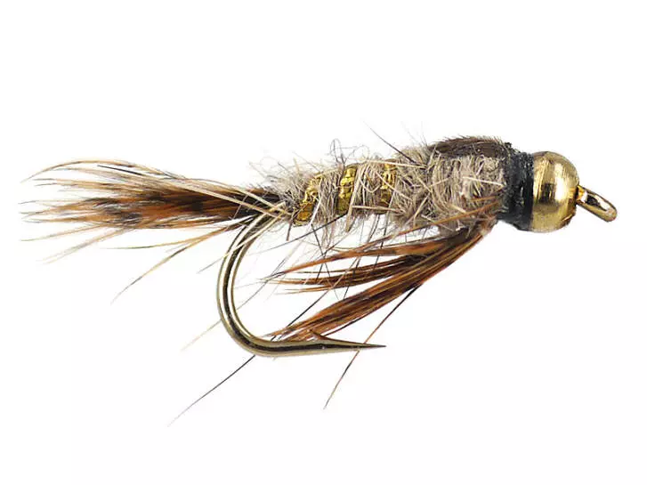 LawsonS Green Drake