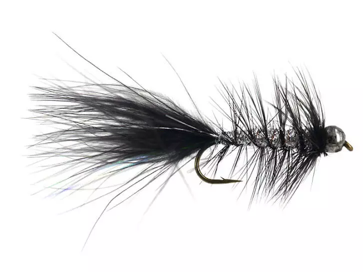 W.B. Bright Black Competition