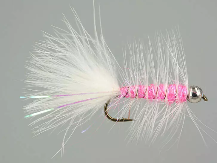 W.B. Bright Pink Competition