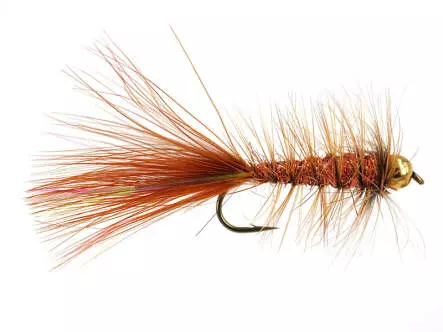 W.B. Bright Brown Competition