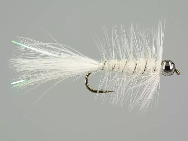 W.B. Bright White Competition