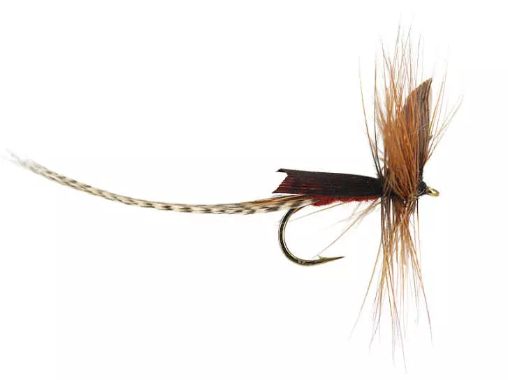 Brown Mayfly Dun