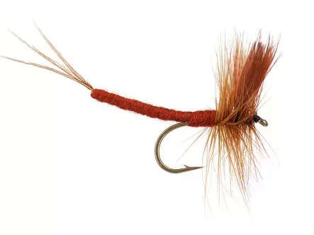 Brown Drake Extended Body Mayfly