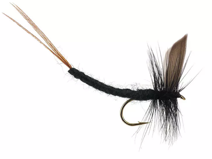Black Gnat Extended Body Mayfly