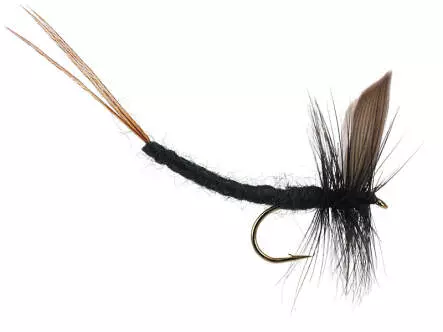 Black Gnat Extended Body Mayfly