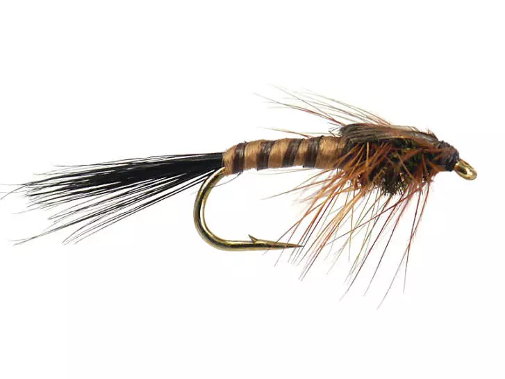 March Brown
