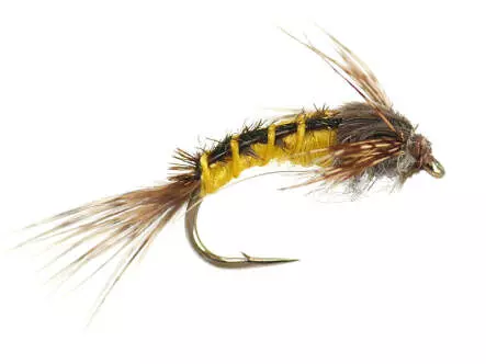 Baetis Yellow Nymph