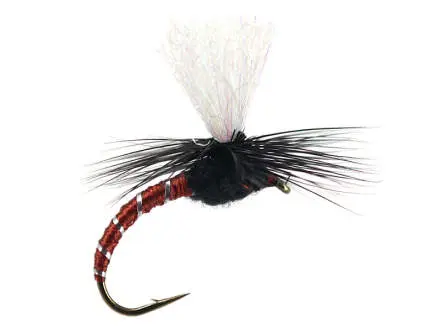 Klinkhammer Brown Black