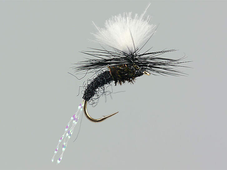 Confezione Da 6 Mosche Secche Oliva Alata Blu – Esca Per Pesca A Mosca
