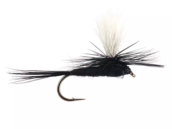 Parachute Black Gnat