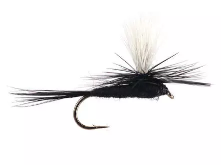 Parachute Black Gnat