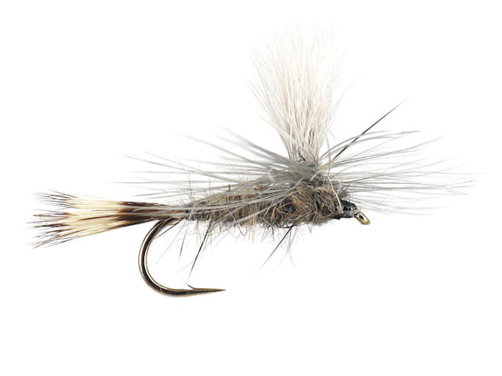 4 x Mosca secca - Adams paracadute - Pesca alla trota - Taglia A scelta