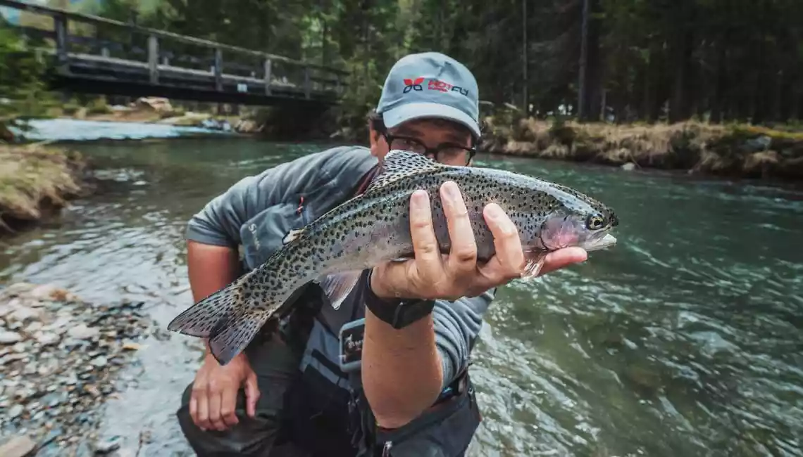 Rio Selva dei Molini pesca a mosca