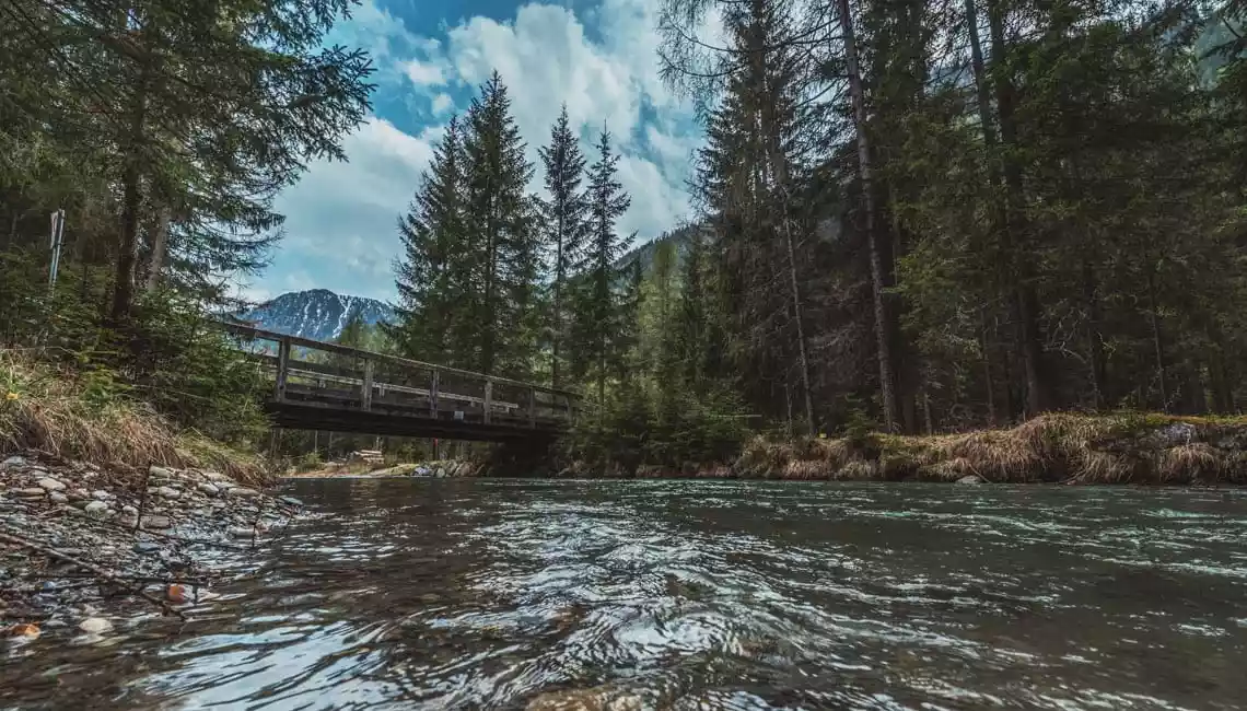 Rio Selva dei Molini zona 2