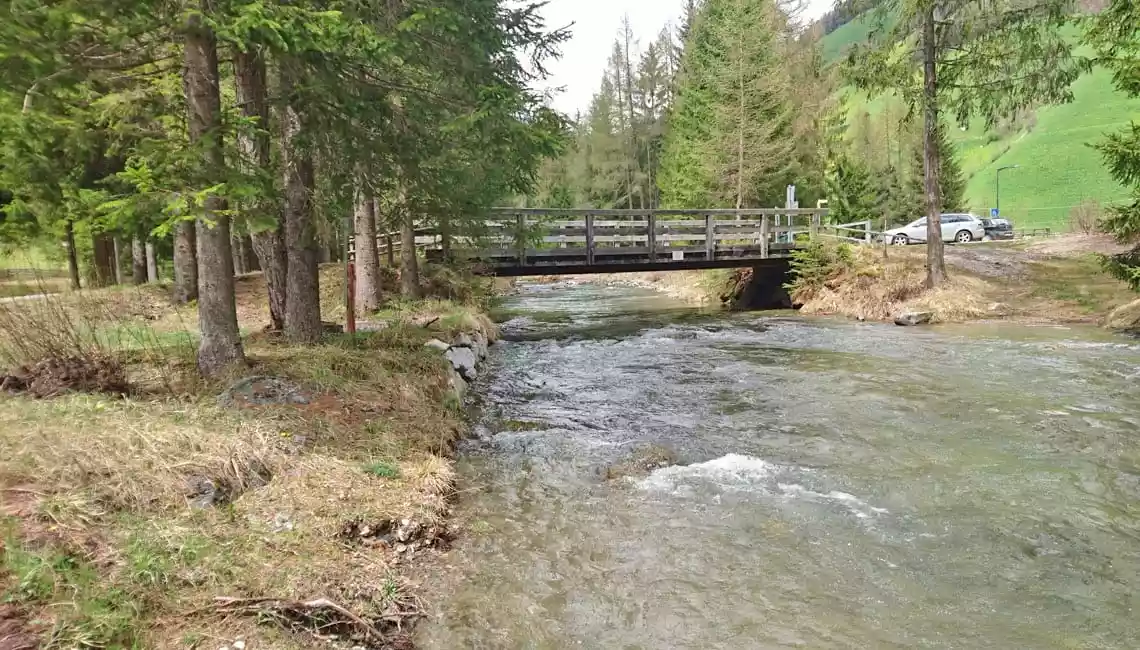Rio Selva dei Molini zona 2