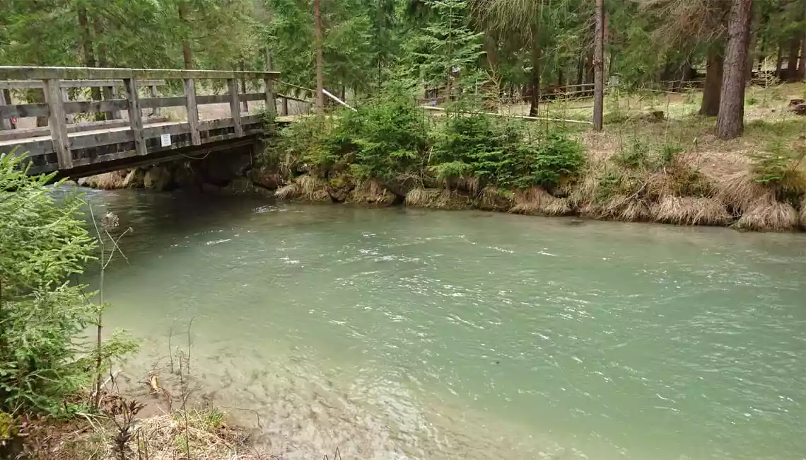 Rio Selva dei Molini zona 2