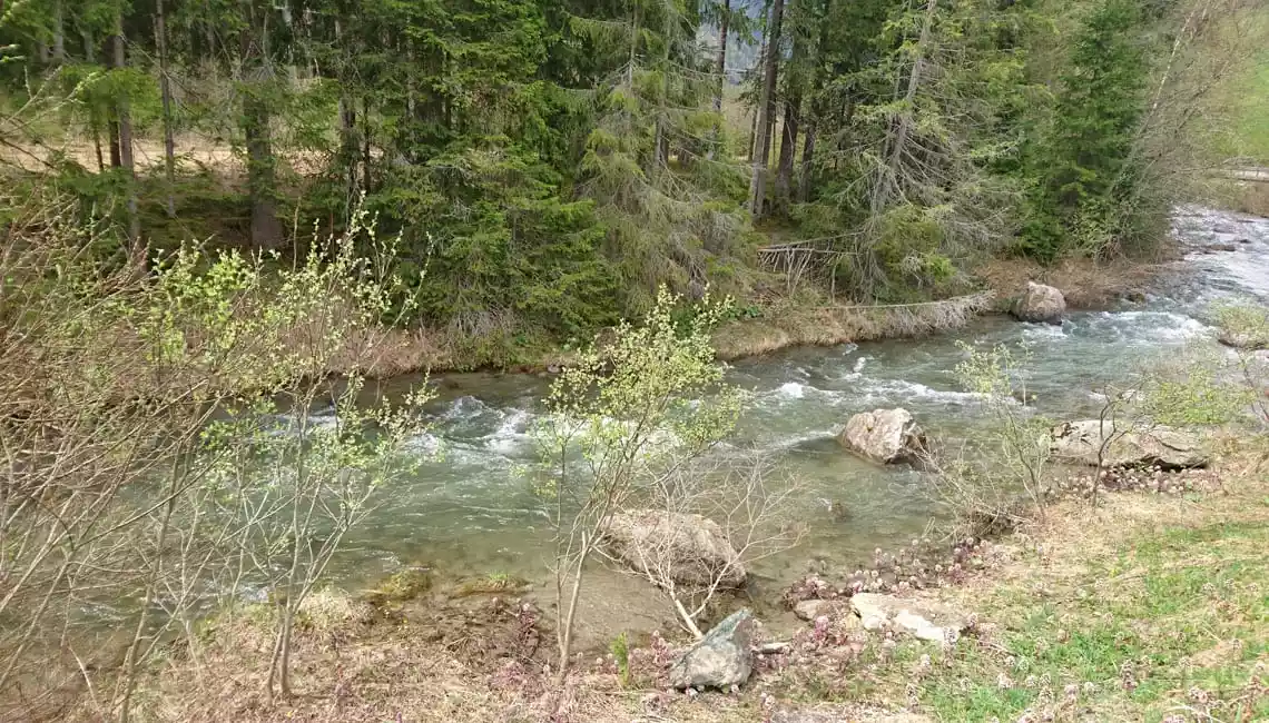 Rio Selva dei Molini zona 2