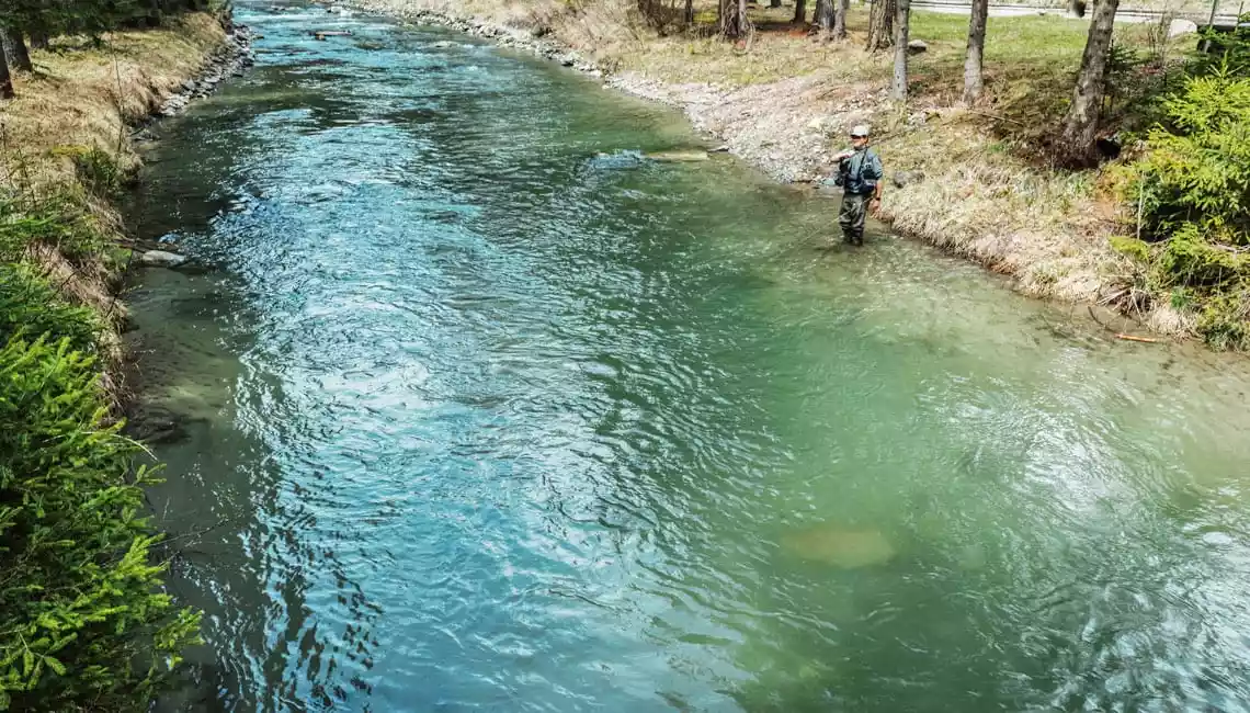 Rio Selva dei Molini zona 2