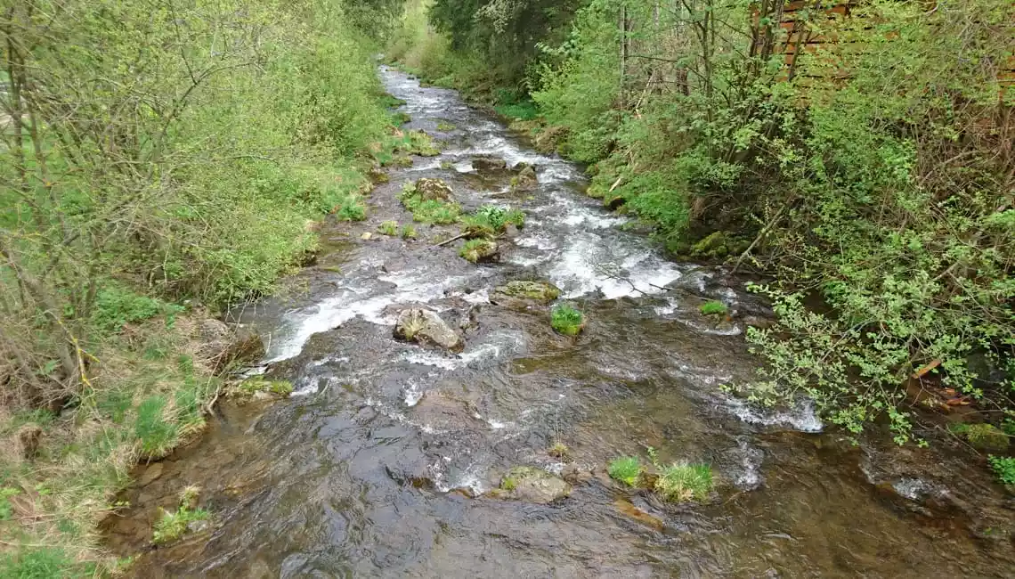 Rio Selva dei Molini pesca a mosca
