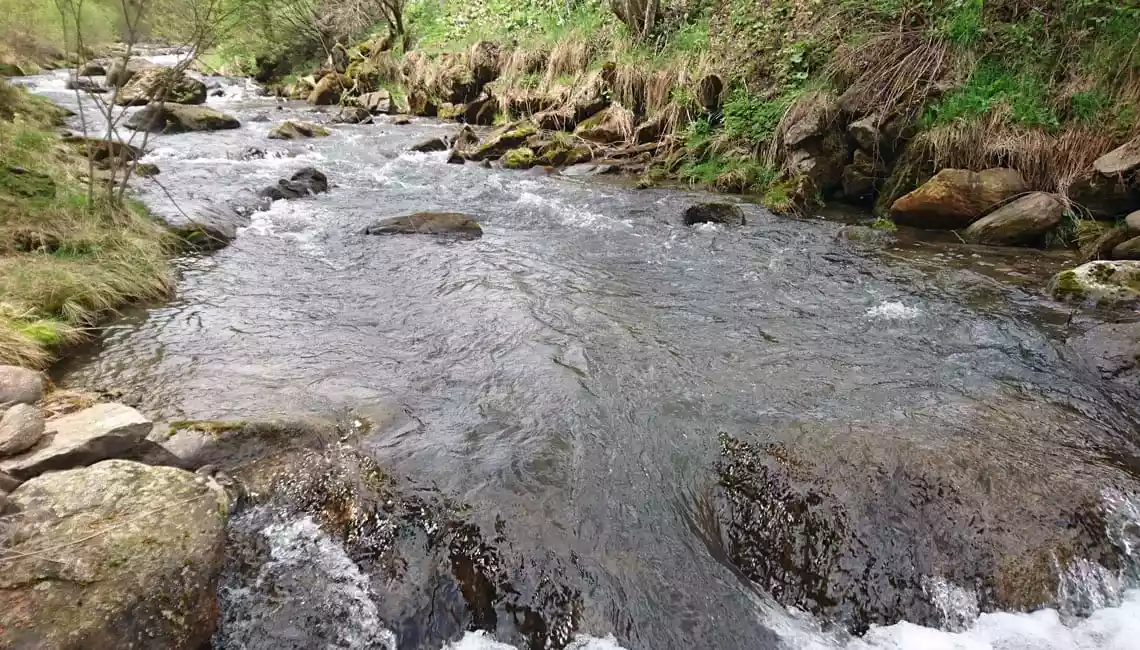 Rio Selva dei Molini zona 1