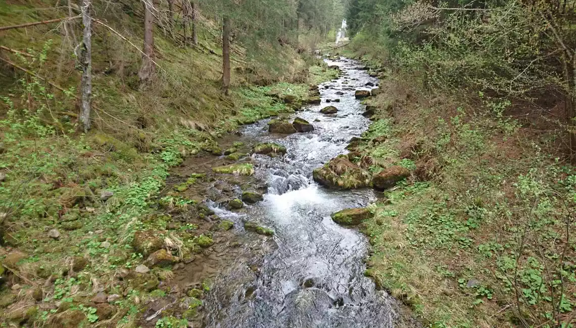 Rio Selva dei Molini zona 1
