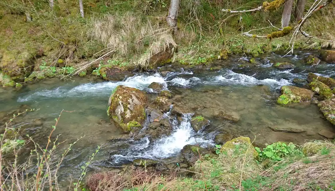 Rio Selva dei Molini zona 1