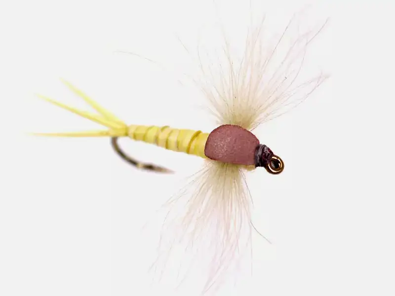 March Brown