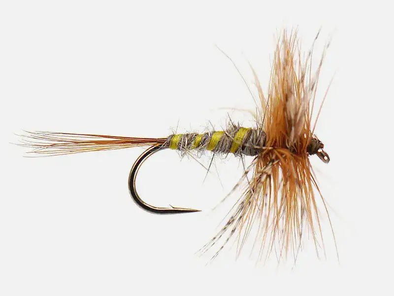 March Brown
