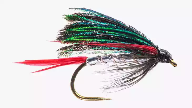 mosca sommersa
