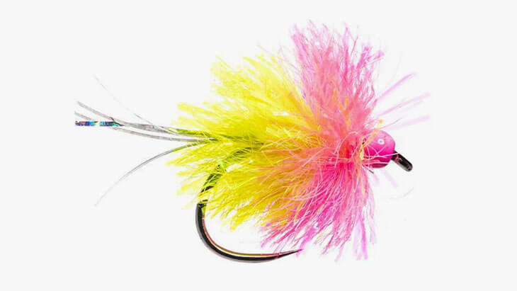 Blob yellow pink head bead Flash barbless stillwater fly fishing fly pattern
